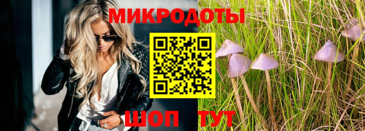 Кемерово  Галлюциногенные грибы Psilocybine cubensis  Вход с VPN  Псилоцибиновые грибы GOLDEN TEACHER 
